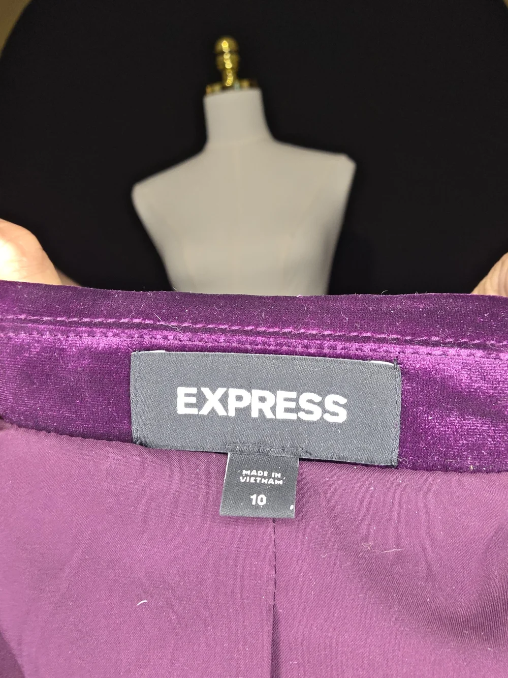 Express Purple Velvet Blazer Jacket